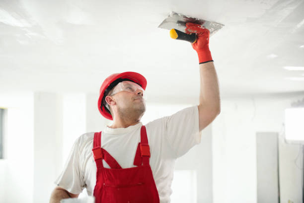 Best Attic Mold Removal  in Wood River, IL
