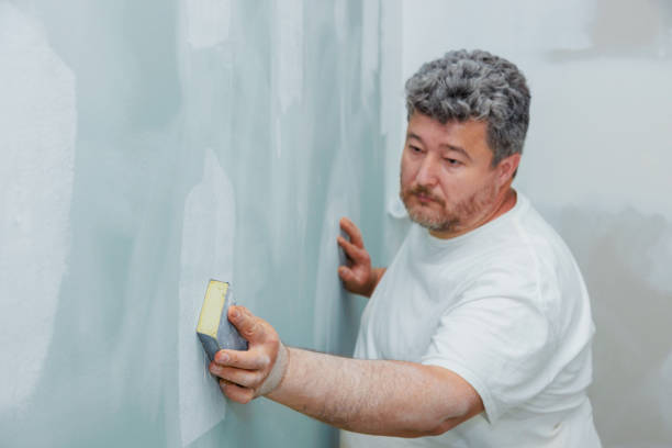 Best Industrial Mold Remediation  in Wood River, IL