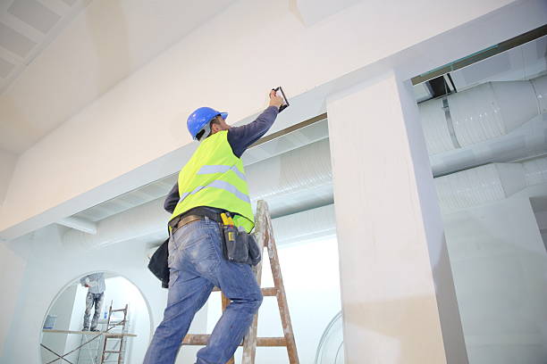 Professional Mold Removal in Wood River, IL