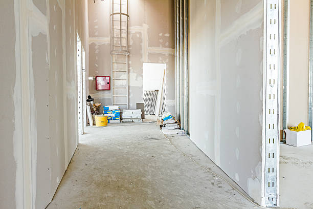 Best Mold Documentation for Insurance Claims  in Wood River, IL