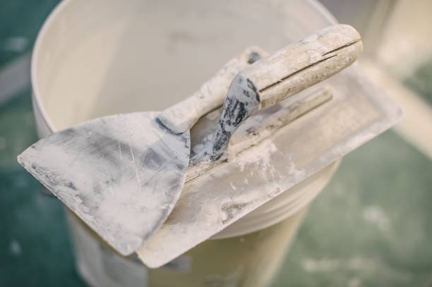 Best Black Mold Removal  in Wood River, IL