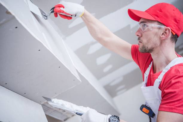 Environmental Consulting for Mold Prevention in Wood River, IL