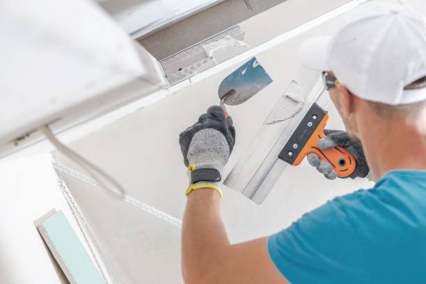 Best Crawl Space Mold Remediation  in Wood River, IL